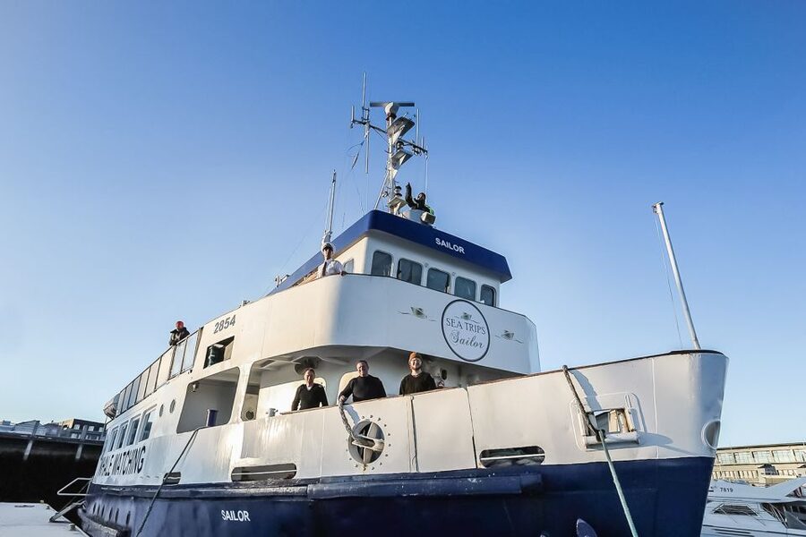 Reykjavík: Whale Watching and Marine Life Cruise - What the cruise is really worth at $87