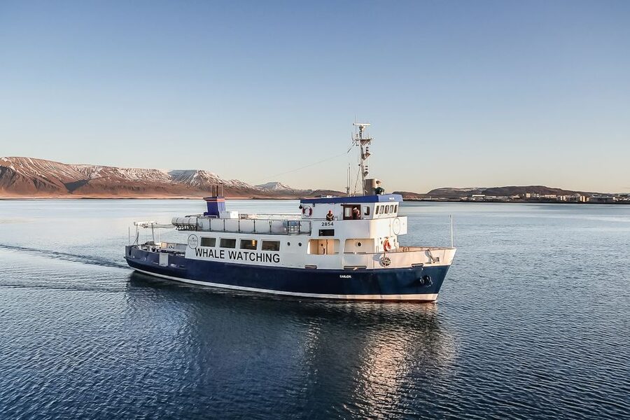 Reykjavík: Whale Watching and Marine Life Cruise - The first stretch across Faxaflói Bay