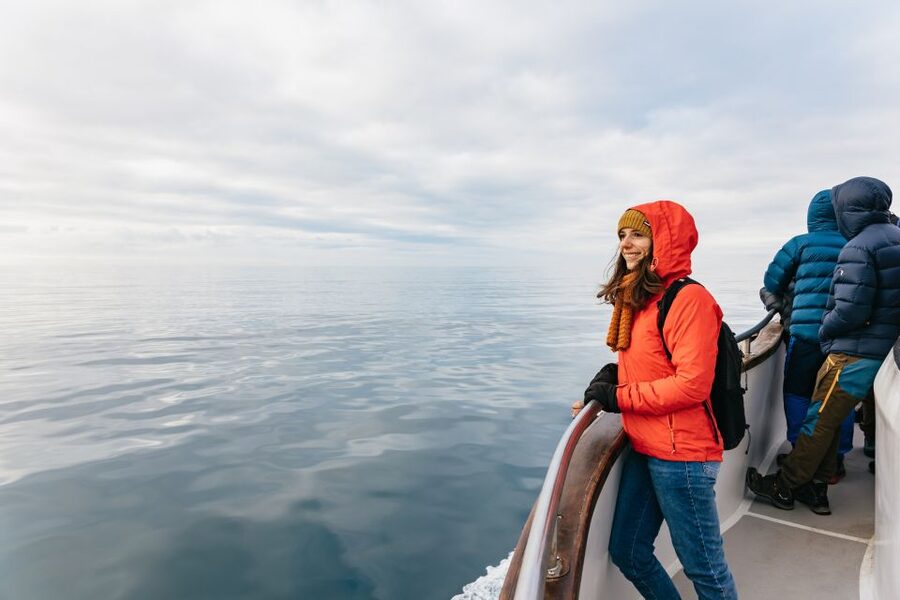 Reykjavík: Whale Watching Cruise on the Amelia Rose Yacht - Weather, visibility, and the real odds of seeing wildlife