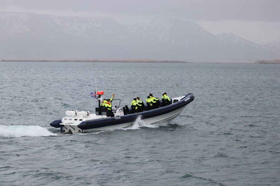 Reykjavik: Whale Watching Tour by RIB Boat - Is the $194 price good value?
