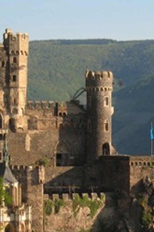 Rhine Valley Castles: 1.5-Hour Boat Tour from Rüdesheim - Ehrenfels Ruins and the Mouse Tower at Binger Loch