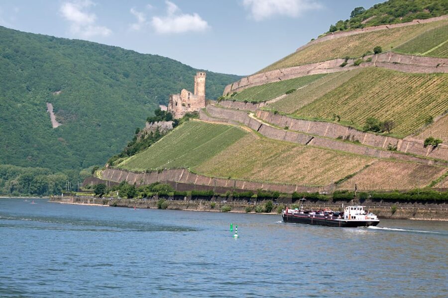 Rhine Valley Castles: 1.5-Hour Boat Tour from Rüdesheim - What the 105 Minutes Really Means