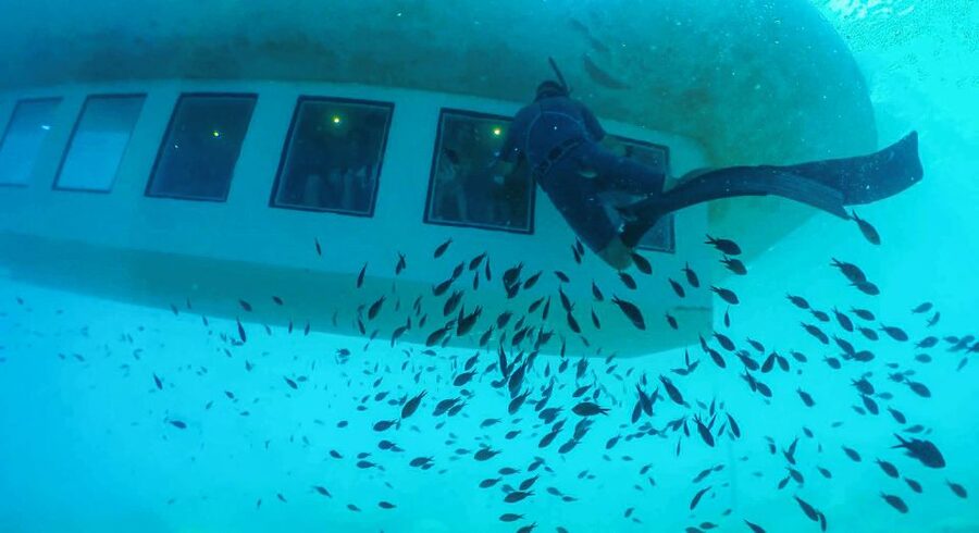 Rhodes Town: Submarine Cruise with Underwater Views - The fish-feeding show