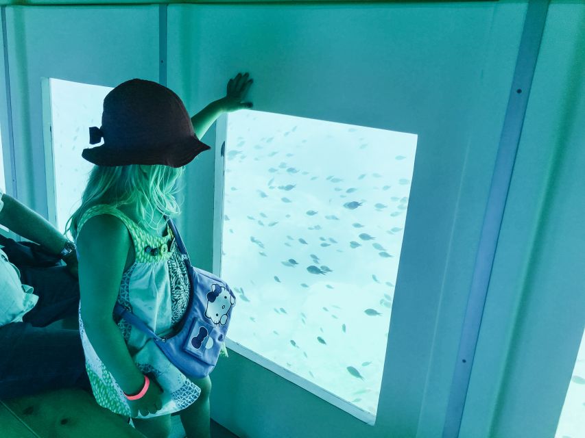 Rhodes Town: Submarine Cruise with Underwater Views - Price, comfort, and value