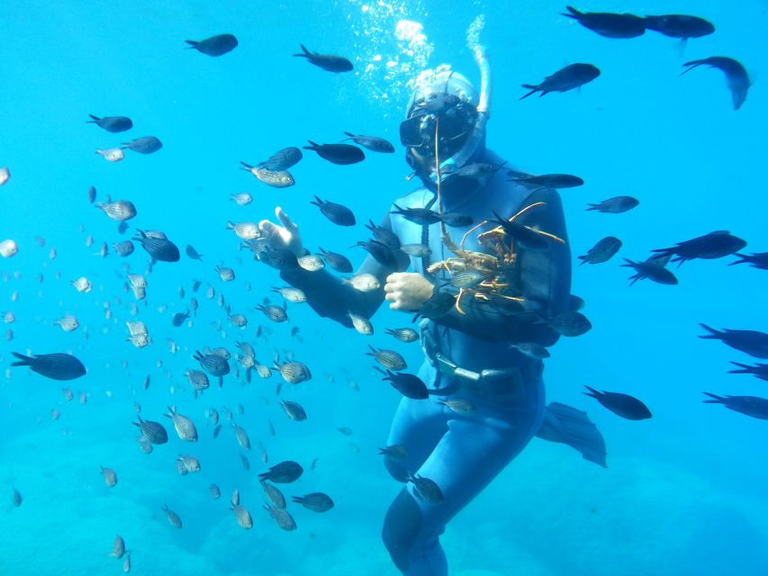 Rhodes Town: Yellow Submarine Cruise with Underwater Views - What this Yellow Submarine trip really is