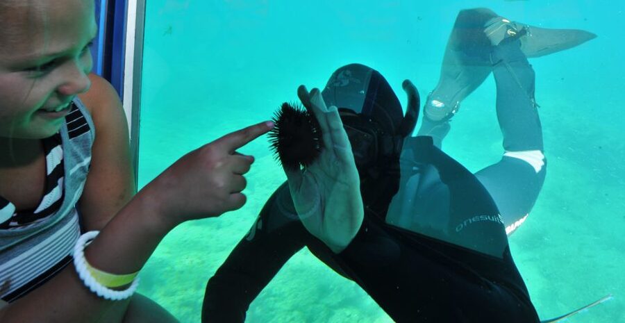 Rhodes Town: Yellow Submarine Cruise with Underwater Views - Finding the boat near Rhodes Courthouse