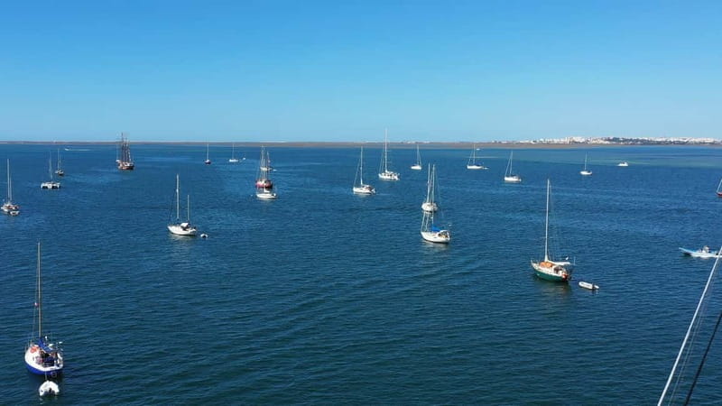 Ria Formosa: Armona and Culatra Islands 3-Hour Boat Tour - Key points at a glance