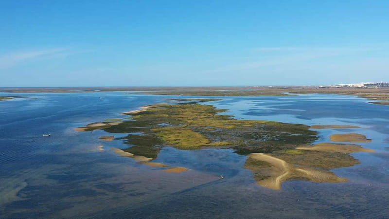 Ria Formosa: Armona and Culatra Islands 3-Hour Boat Tour - Culatra Island, a working community without cars