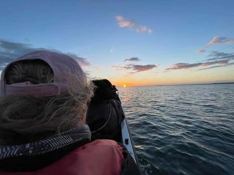 Ria Formosa: Armona and Culatra Islands 3-Hour Boat Tour - Wildlife, tides, and the working water