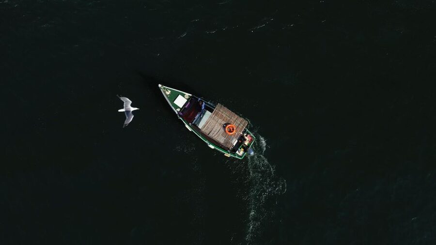 Ria Formosa: Armona and Culatra Islands 3-Hour Boat Tour - How the three hours feel