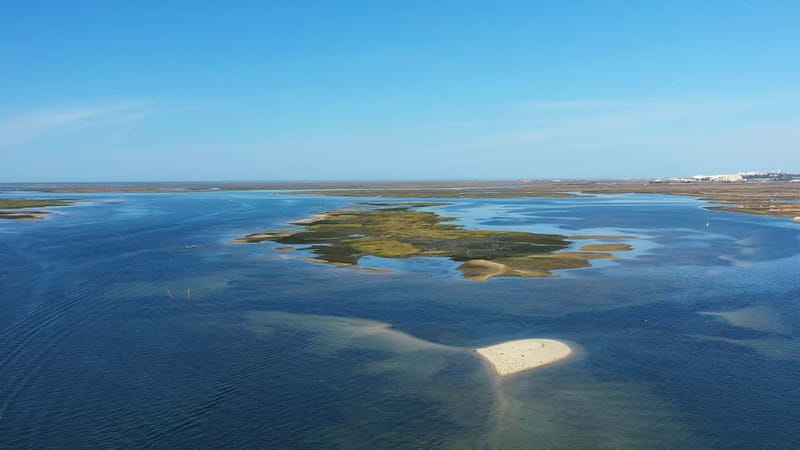 Ria Formosa: Armona and Culatra Islands 3-Hour Boat Tour - Who will enjoy this boat tour most