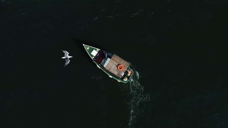 Ria Formosa: Armona and Culatra Islands 3-Hour Boat Tour - Practical advice before you go