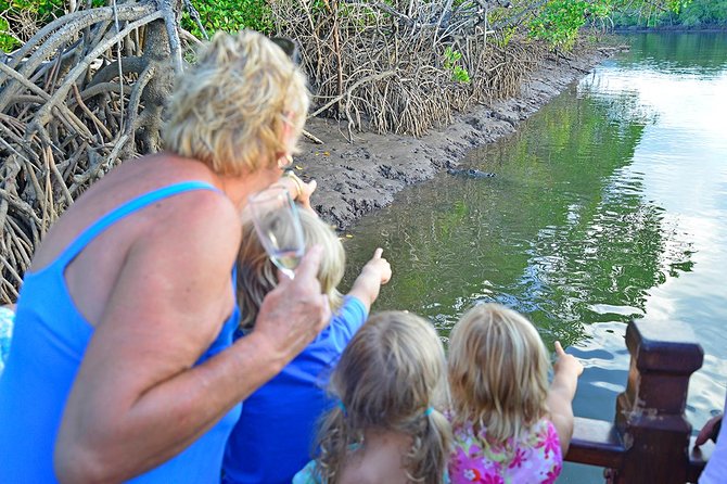 River Cruise - First stretch: crocodiles, birds, crabs, and mudskippers