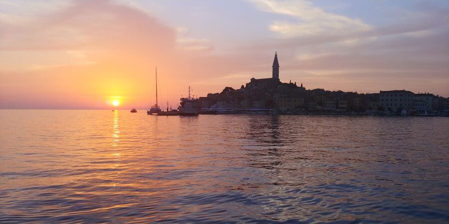 Rovinj: Sunset Boat Trip with Dolphin Watching - Searching for dolphins in their natural setting