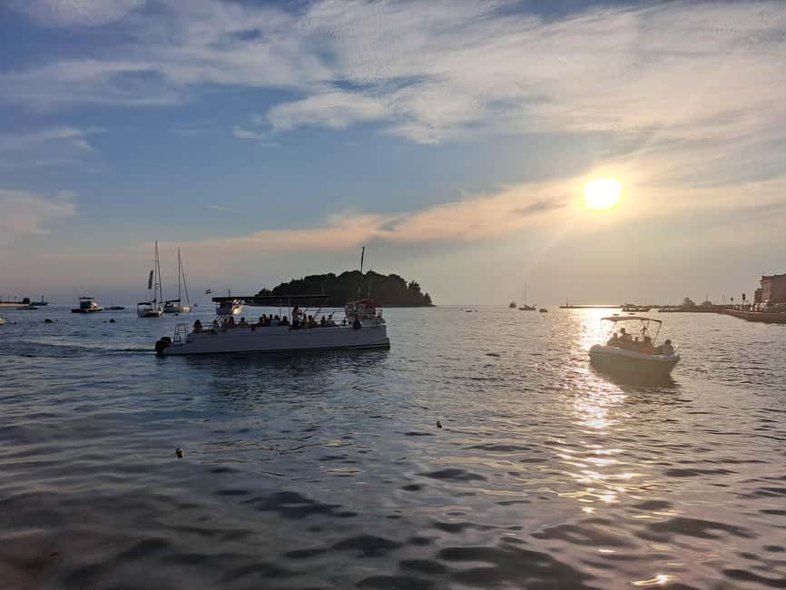 Rovinj: Sunset & dolphin group tours with Catamaran - Who will enjoy this boat most