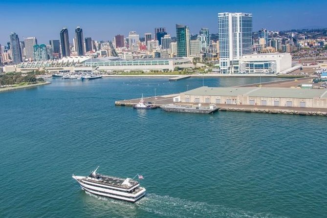 San Diego Harbor Cruise - Sea lions, birds, and the wildlife element