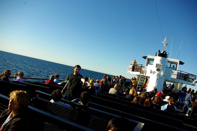 San Diego Whale Watching Cruise - Is $85 a fair price?