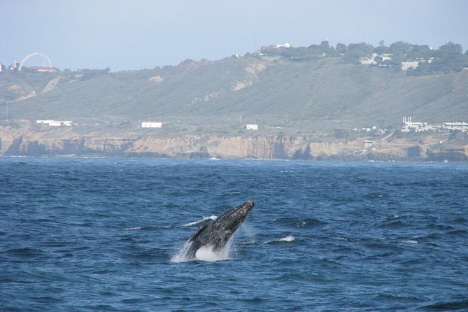 San Diego Whale Watching Cruise - Leaving Shelter Island and entering San Diego Bay