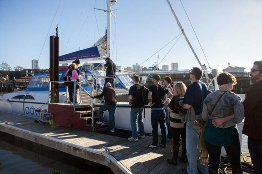 San Francisco: Golden Gate Bridge Catamaran Cruise - Wildlife sightings and the changing bay