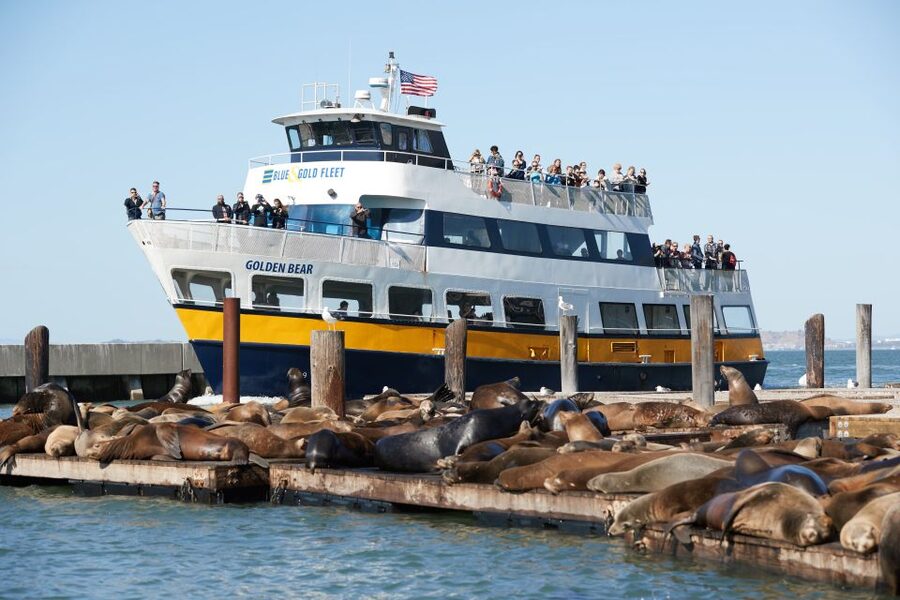 San Francisco: Inside Alcatraz Tour with Bay Cruise - Small details that make the day easier