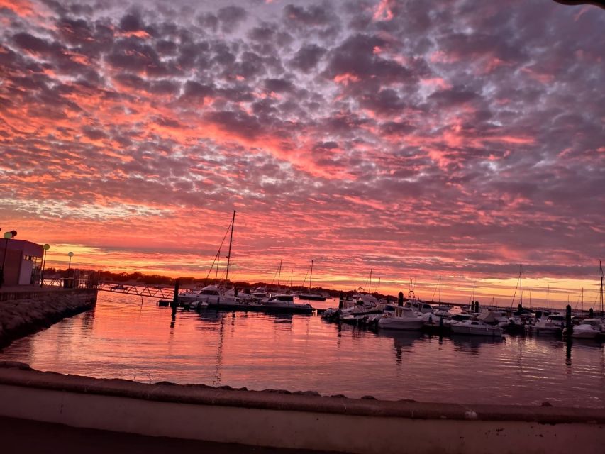 Sancti Petri: Sunset Catamaran Cruise - Sunset, cava, and the onboard bar