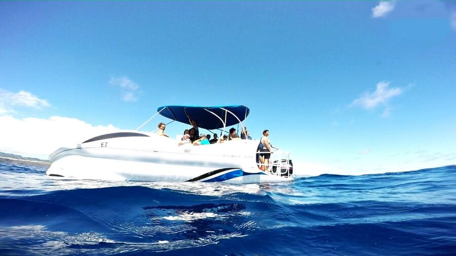 São Miguel: Glass Bottom Boat Tour with Snorkeling - Why the biology talk improves the boat ride