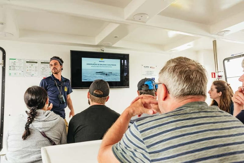 São Miguel: Whale-Watching Cruise with Marine Biologist - Who should book this experience?