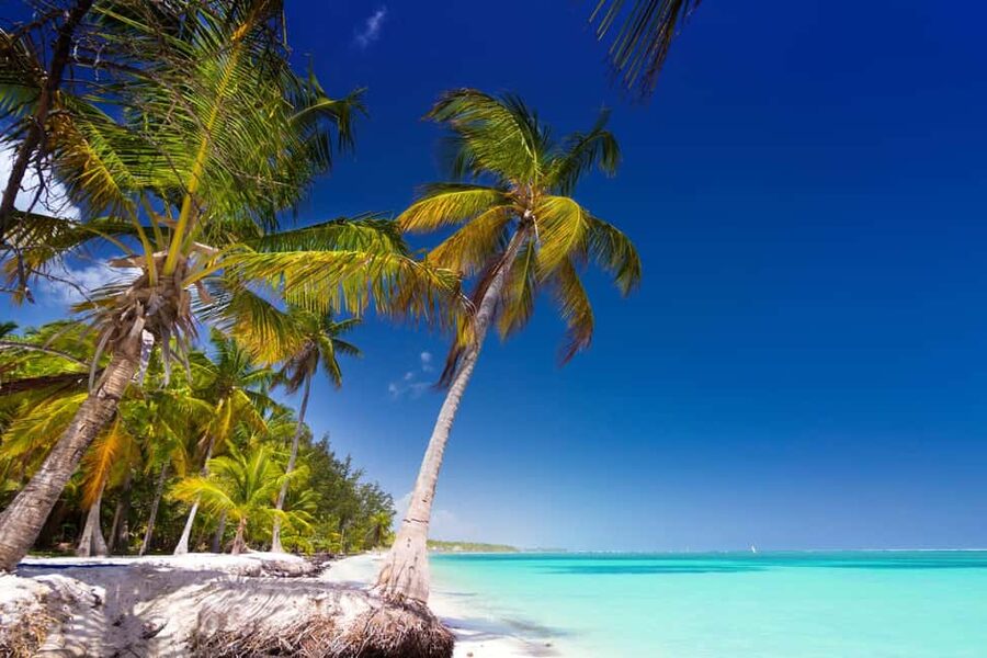Saona Island: Catamaran/Speedboat Tour to a Dream Beach - Who should book this excursion