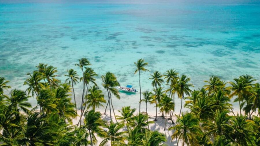 Saona Island: Catamaran/Speedboat Tour to a Dream Beach - Why this Saona Island day trip works