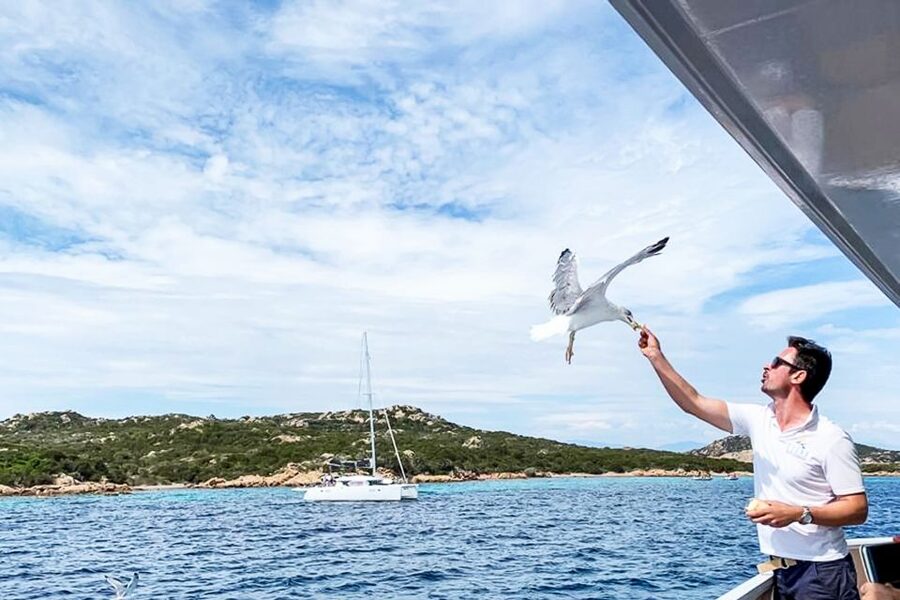 Sardinia: La Maddalena Archipelago Full-Day Trip by Boat - Who should book this Sardinian day trip?