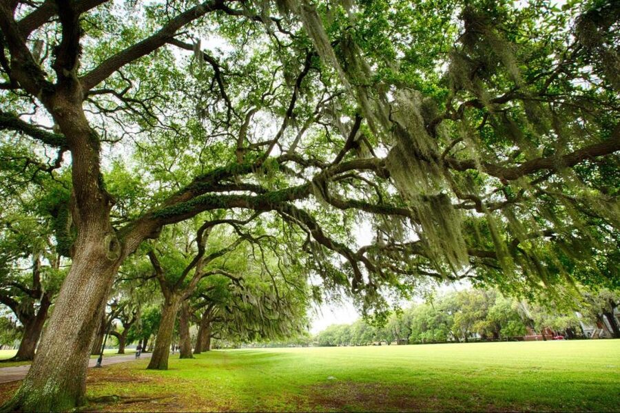 Savannah: Riverboat Cruise & City Tour Combo - The Transfer Between Trolley and Riverboat