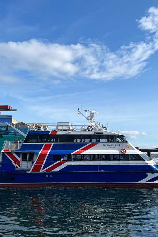 Seattle: Half-Day Wildlife and Whale Watching Cruise - From Pier 69 to the open Salish Sea
