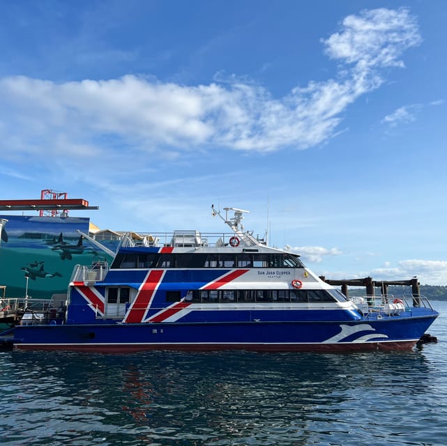 Seattle: Half-Day Wildlife and Whale Watching Cruise - Is $148 a fair price?