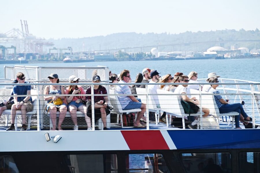 Seattle: Half-Day Wildlife and Whale Watching Cruise - Who should book this Seattle whale cruise?