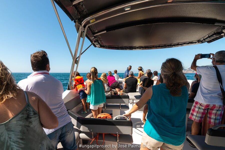 Setúbal: Dolphin Watching Boat Tour - How the two hours usually work