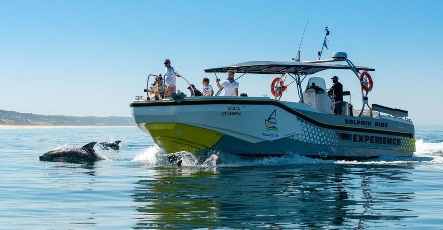Setúbal: Dolphin Watching Boat Tour - Price, flexibility, and overall value