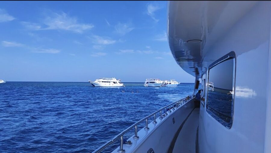 Sharm El-Sheikh: Luxury Ras Mohammed & White Island Cruise - How the crew handles beginners and families