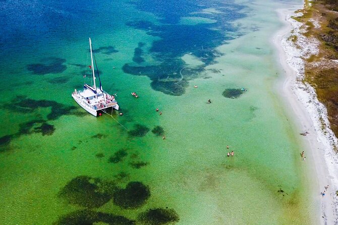 Shell Island Snorkel and Dolphin Catamaran Cruise with Island Time - Key points to know before you go