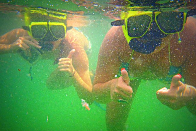 Shell Island Snorkel and Dolphin Catamaran Cruise with Island Time - Drinks, music, and the overall mood