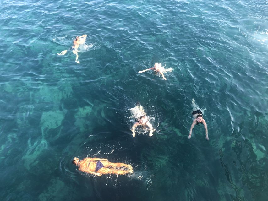 Side: Dolphin Island Boat Tour w/ Lunch & Foam Party - Who should book this boat trip?