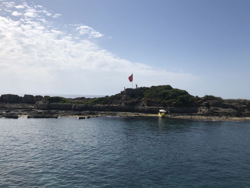 Side: Dolphin Island Boat Tour w/ Lunch & Foam Party - Dolphin Island and the wildlife question
