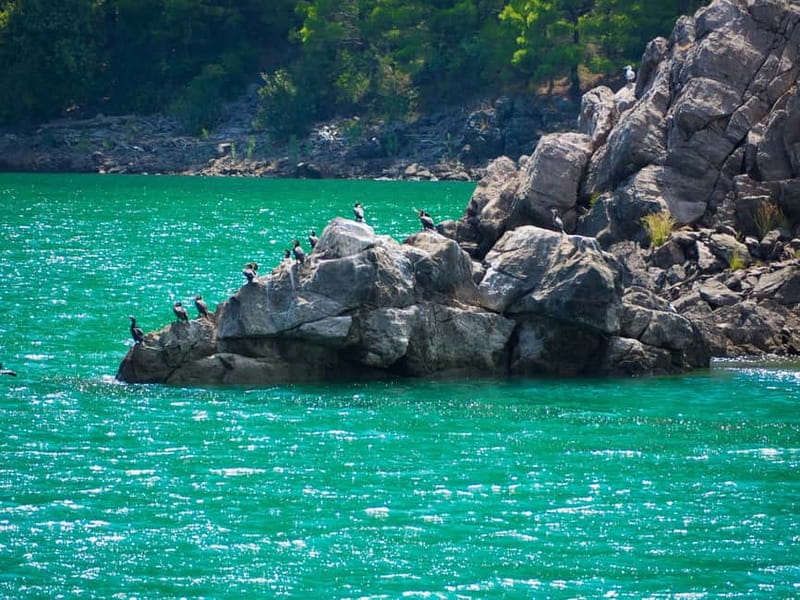 Side: Green Canyon Boat Trip with Lunch near Green Lake - Who Will Enjoy This Day Most?
