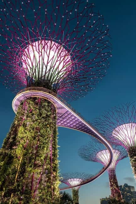 Singapore River Cruise, Garden Rhapsody & Spectra by CYT - The Singapore River Cruise