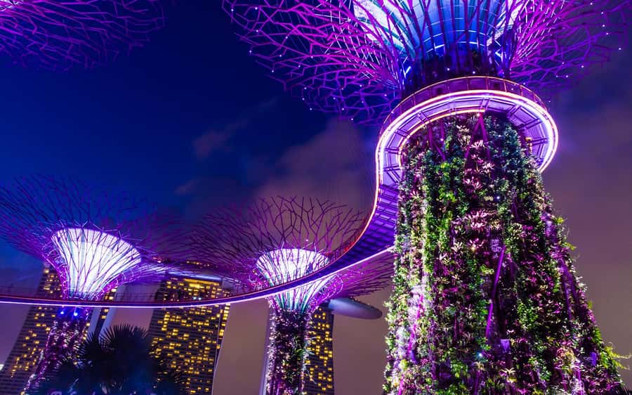 Singapore Starry Night: Cruise, Garden Rhapsody & Spectra - The guide and the pace of the evening