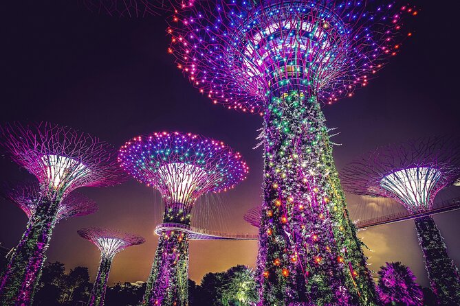 Singapore Starry Night Cruise, Garden Rhapsody & Spectra Show - Singapore after dark, without stitching it together yourself