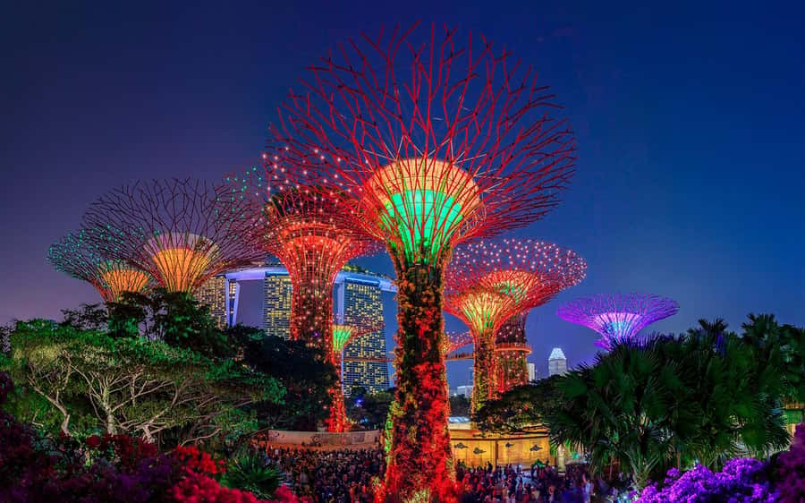 Singapore Starry Night: Cruise, Garden Rhapsody & Spectra - Starting at the Merlion and Marina Bay
