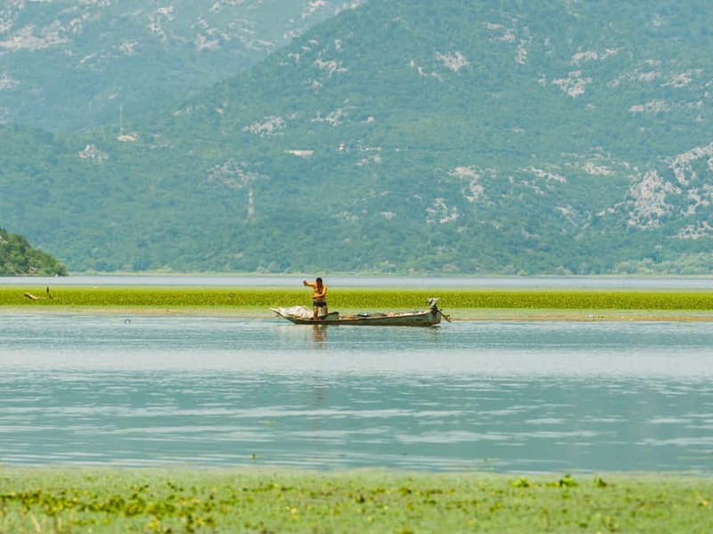 Skadar Lake National Park: Guided Boat Tour with Wooden Boat - The return across open water