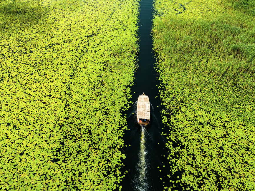 Skadar Lake National Park: Guided Boat Tour with Wooden Boat - Starting in Virpazar, Montenegro’s lake gateway