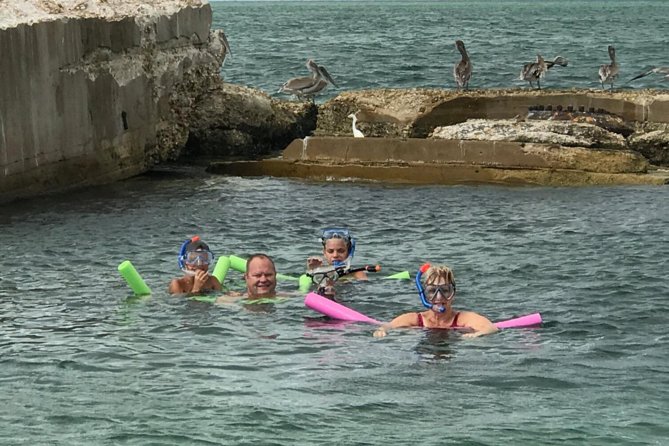Small Group 2 Hour Dolphin Cruise with Snorkeling to Shell Key - Boca Ciega Bay is the wildlife search