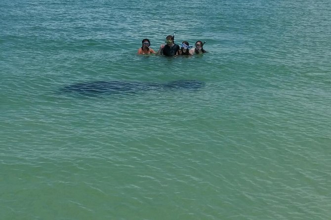 Small Group 2 Hour Dolphin Cruise with Snorkeling to Shell Key - Set your snorkeling expectations correctly